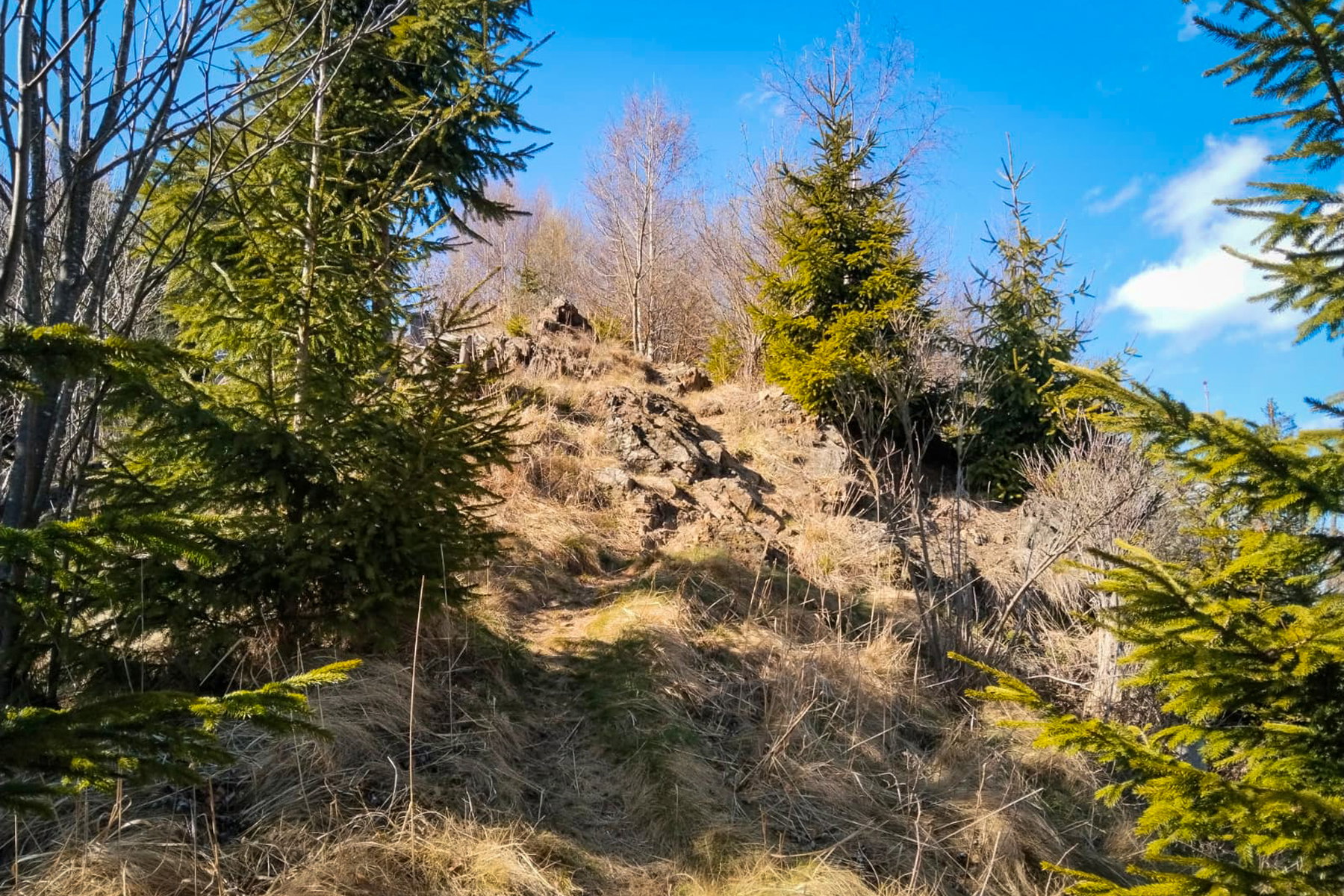Nach der zweiten Forststraßenquerung ist noch ein kurzes, richtig steiles Stück zu absolvieren. Foto: Tobias Brugger