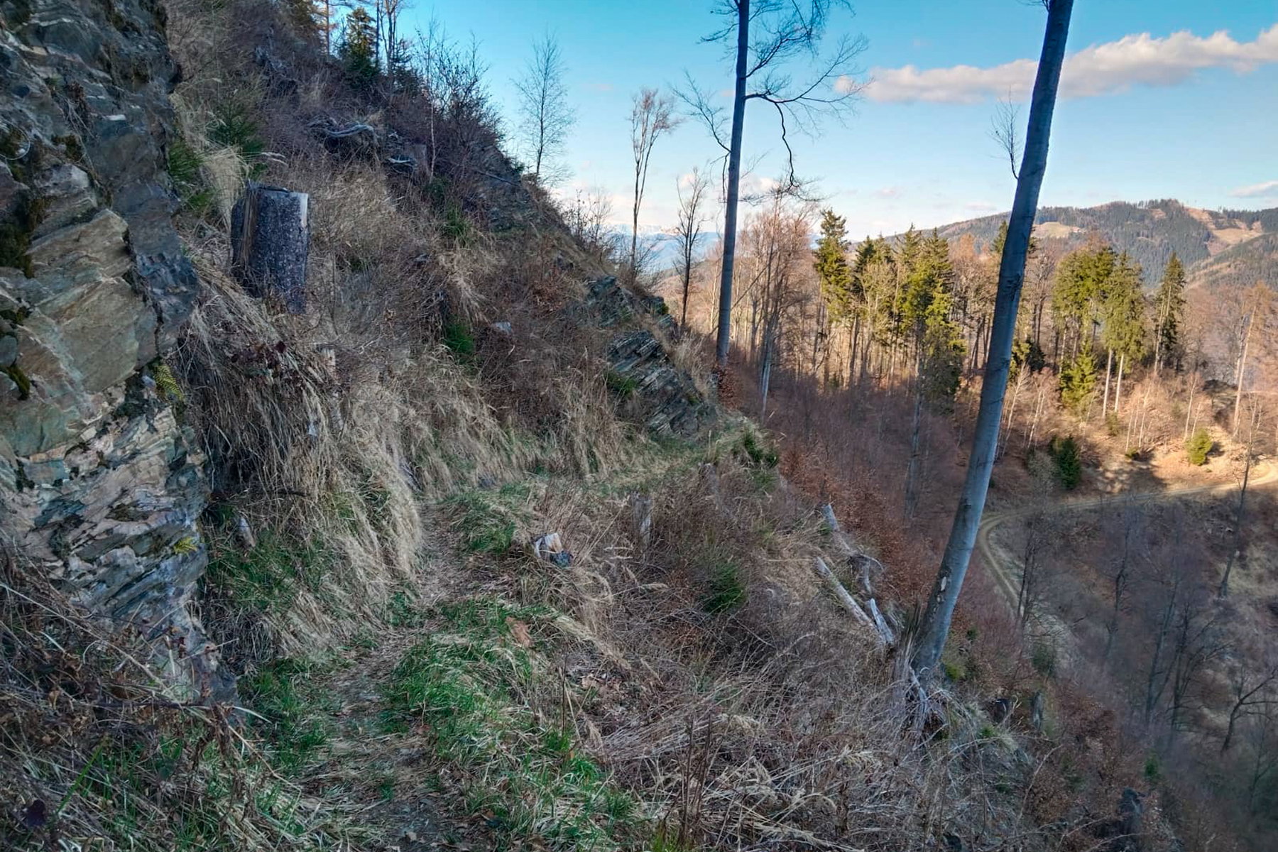 Der Pfaffenwaldsteig schlängelt sich elegant am Berg entlang. Foto: Tobias Brugger