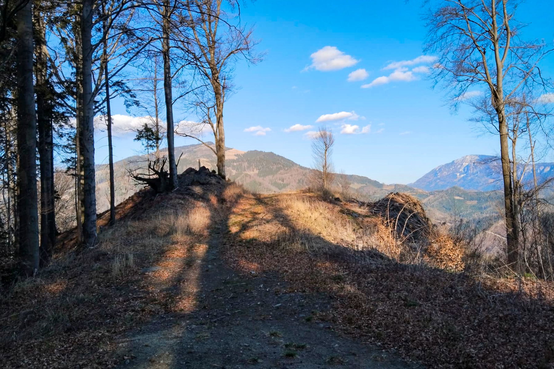 Am Gamskogel gibt es gute Aussichten... Foto: Tobias Brugger
