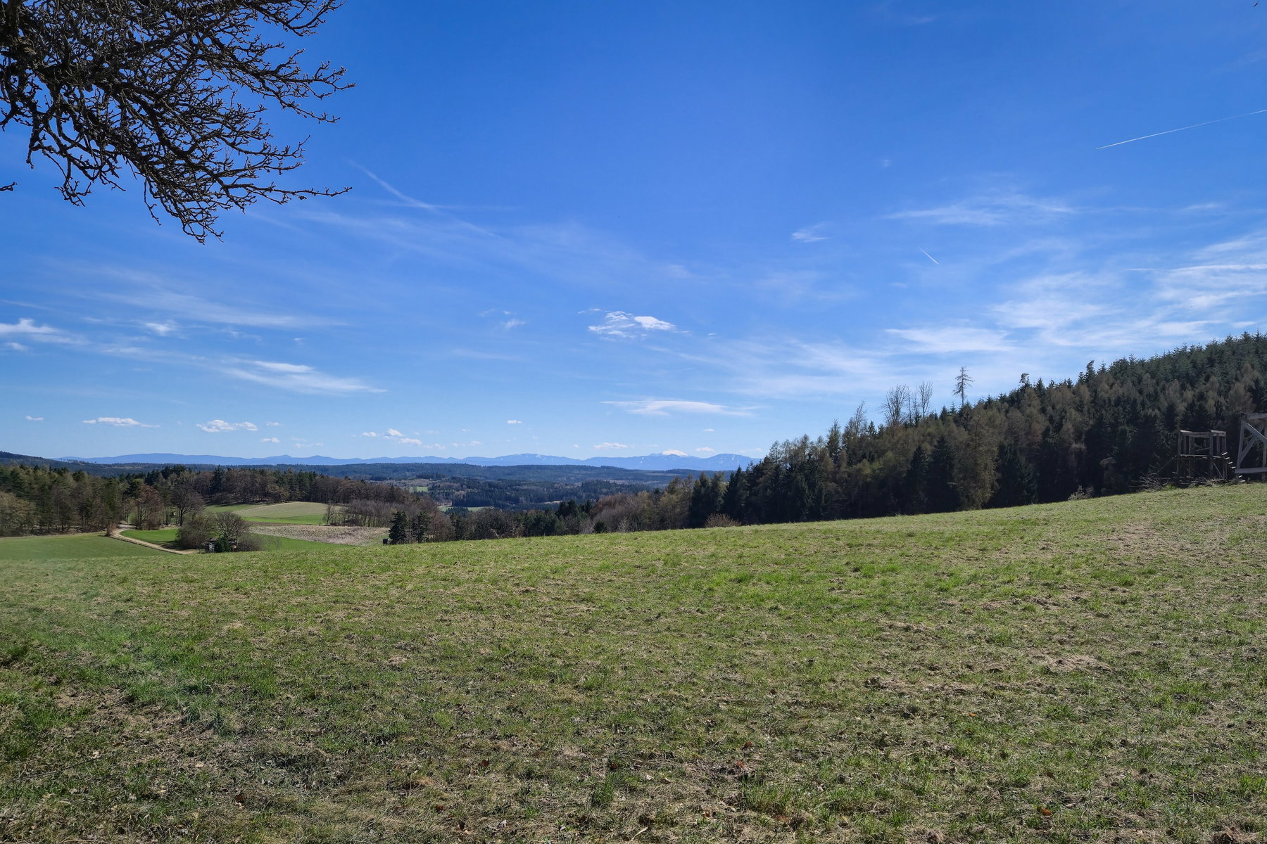 Eine grüne Sonnenweise mit Schneeberg im Hintergrund. Foto: Linda Prähauser
