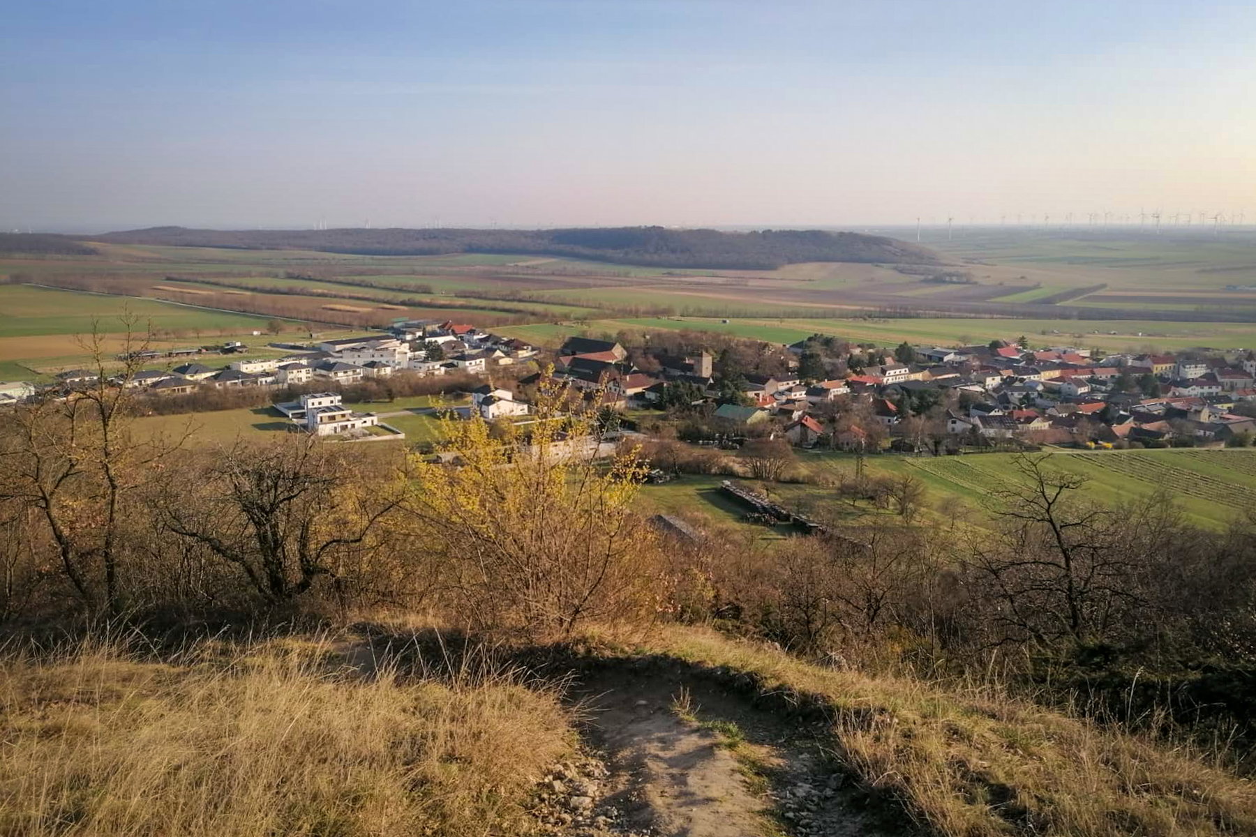 Blick auf Hundsheim. Foto: Sarah Pallauf