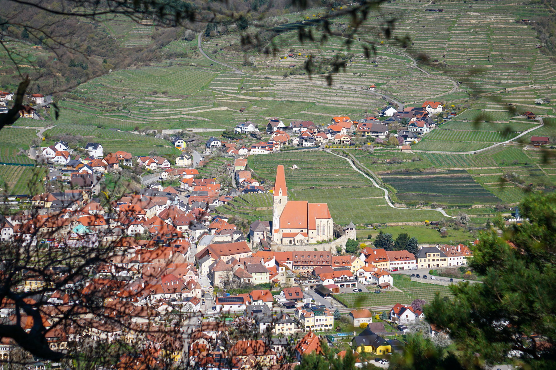 Blick auf Weißenkirchen (Bild aufgenommen mit einer Kamera). Foto: Linda Prähauser