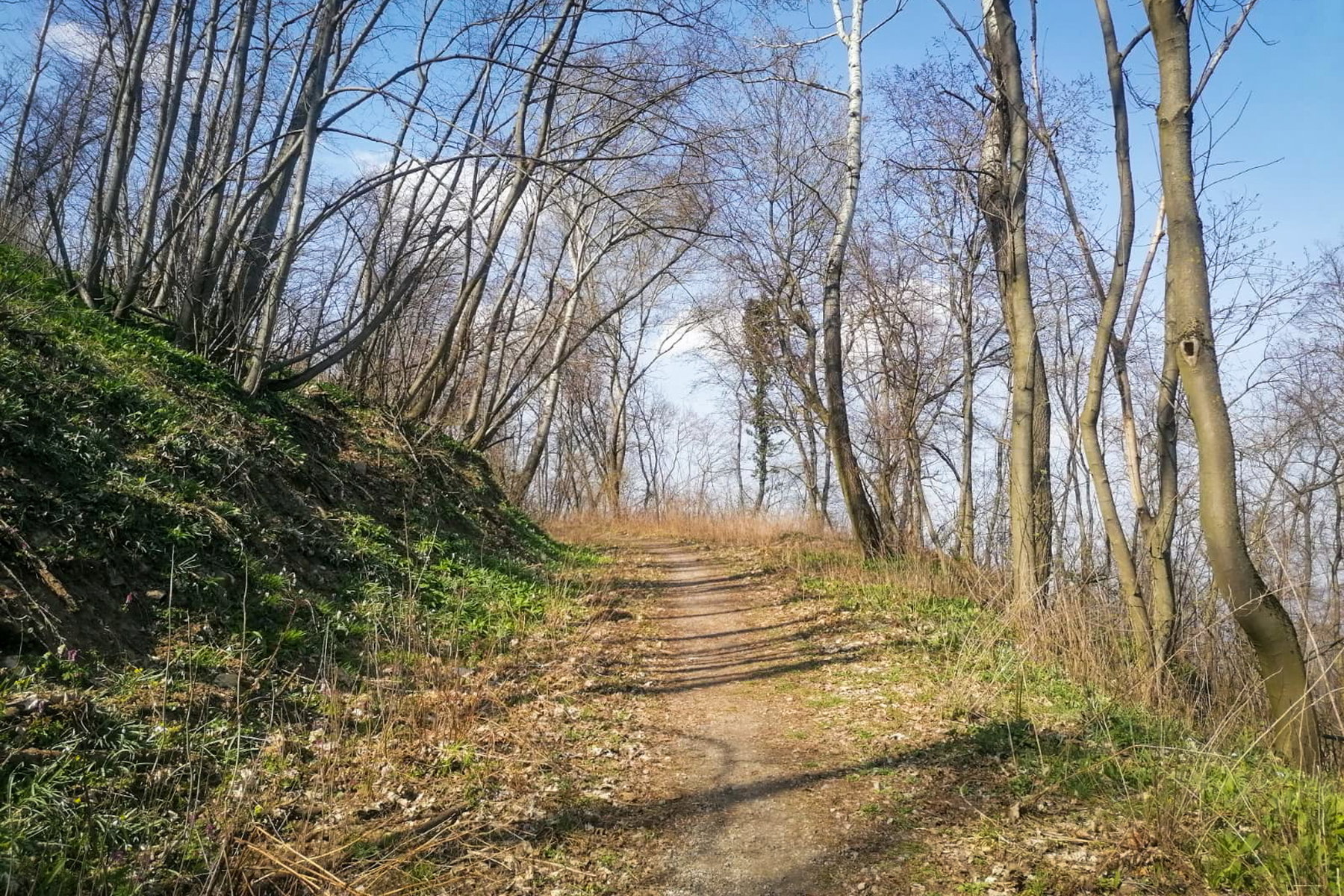 Rein ins Grün und rauf auf den Berg! Foto: Sarah Pallauf