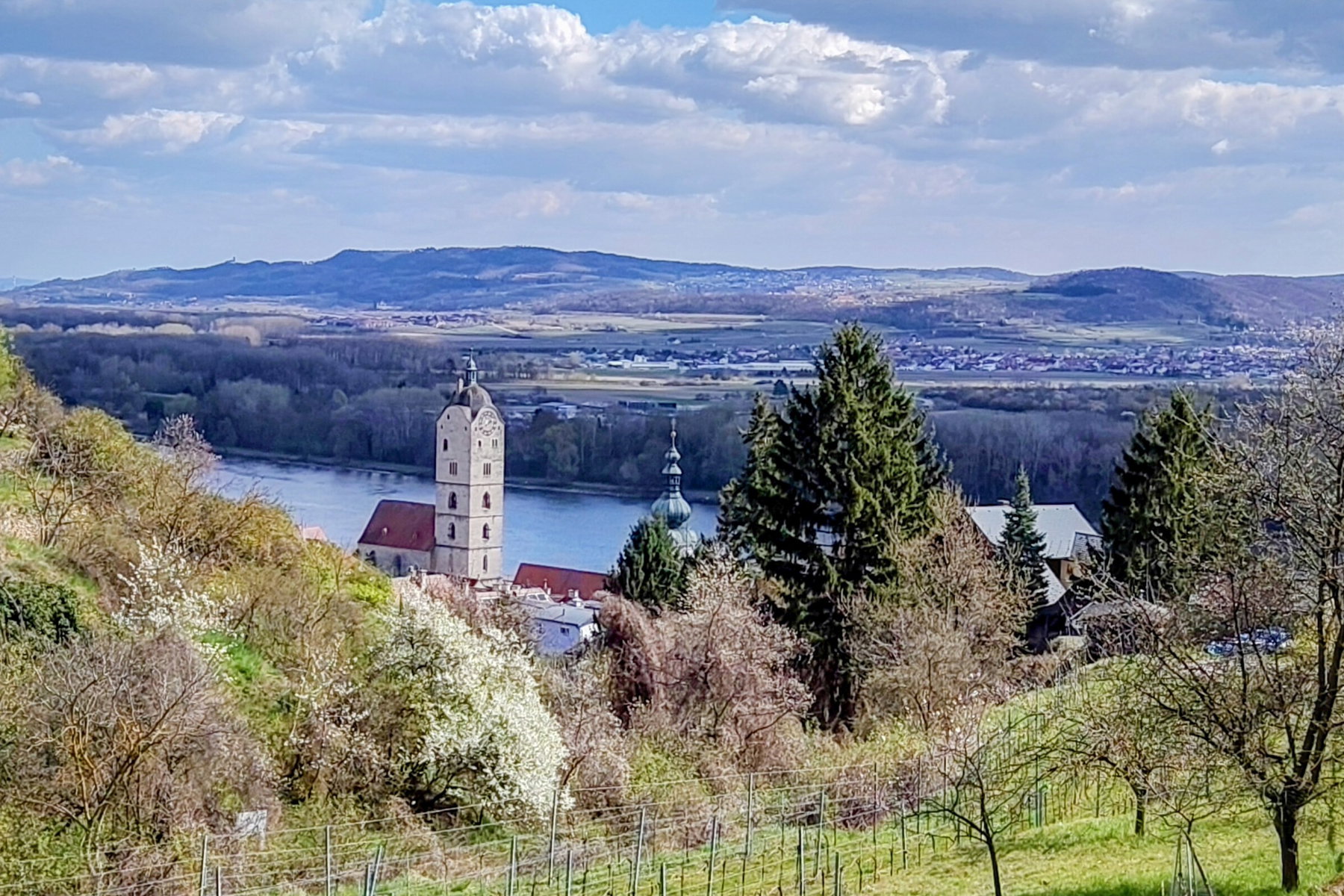 Foto: Silvia Henglmüller