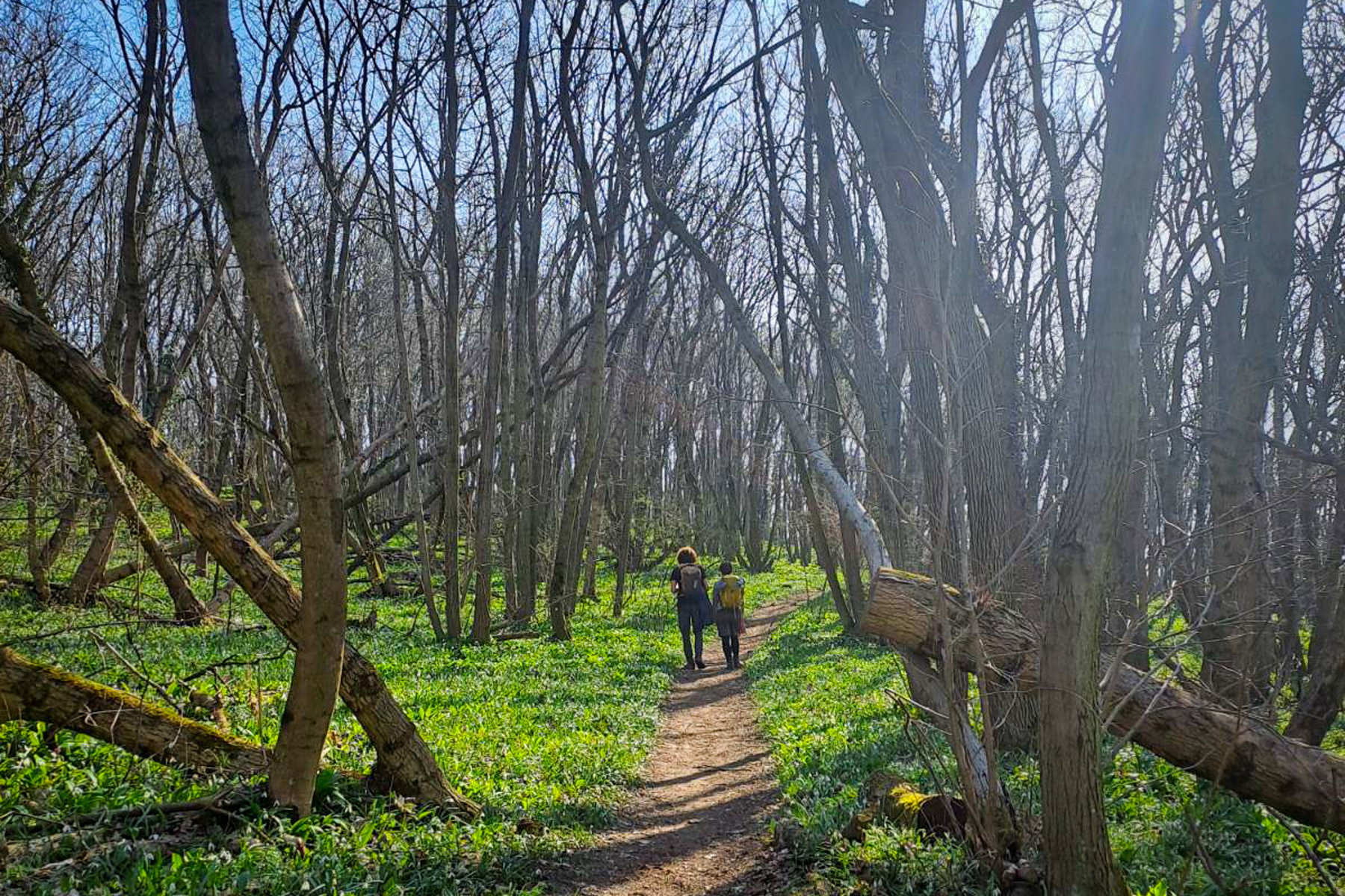 Wandermittwoche sind gut zu uns. Foto: L.M.
