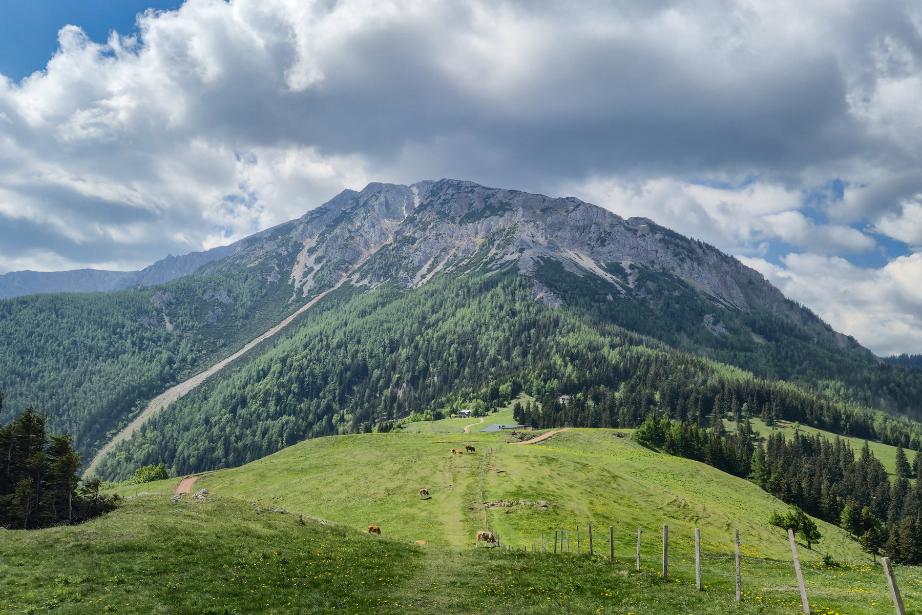 Die Edelweißhütte vor meinen Augen. Foto: Linda Prähauser