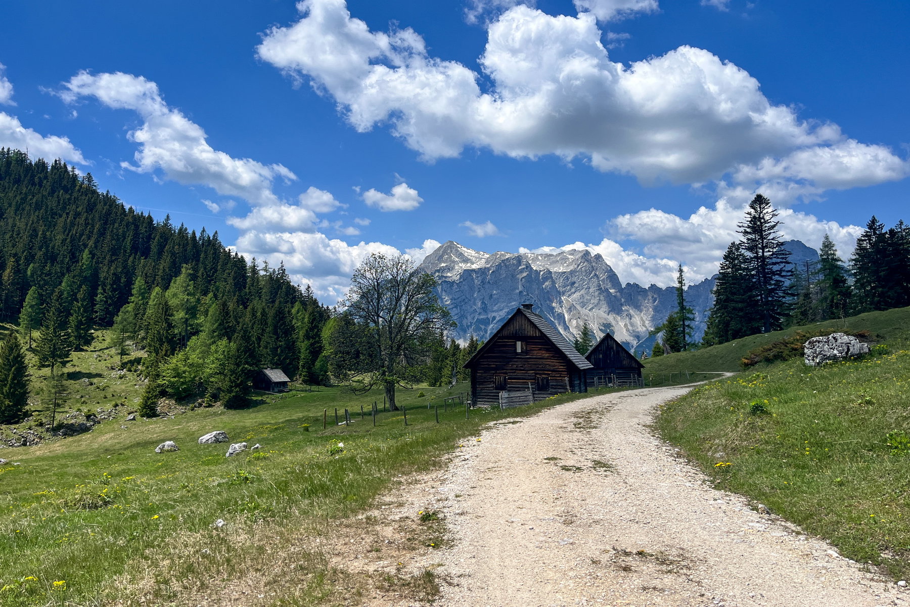 Hochscheibenalm. Foto: Birgit Matzinger