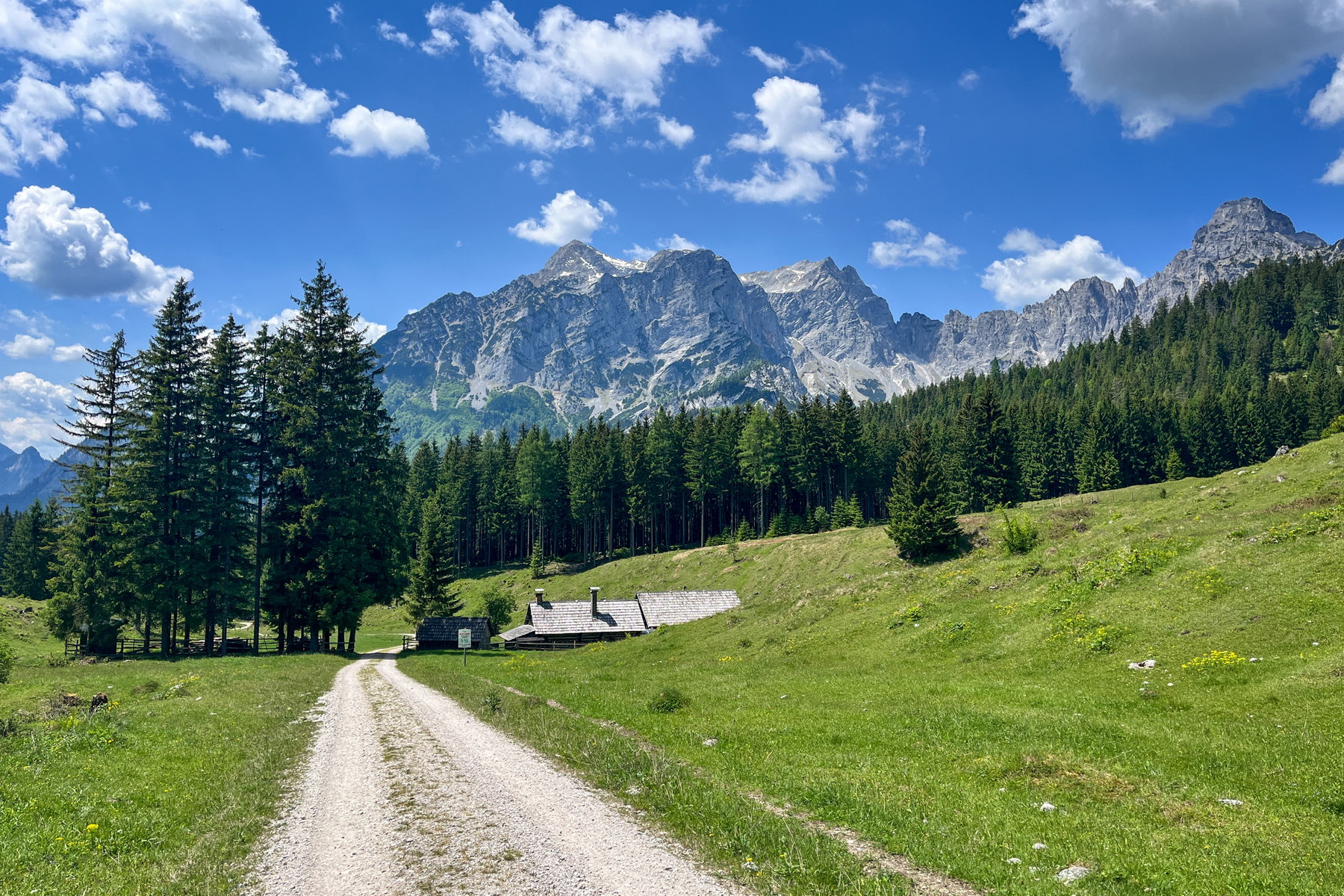 Kroisen Alm. Foto: Birgit Matzinger