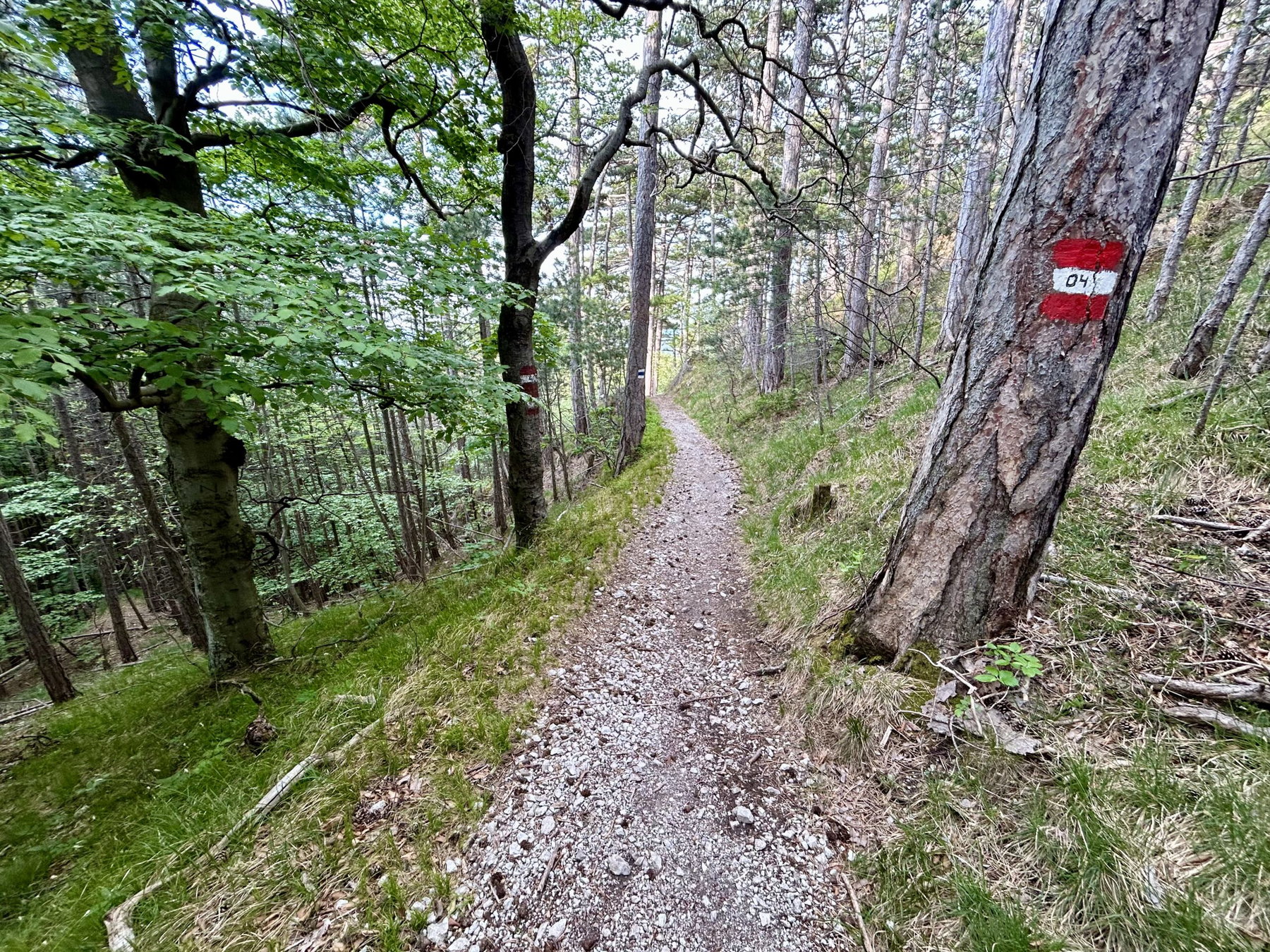 Mailüfterl im Föhrenwald, von Vöslau nach Baden