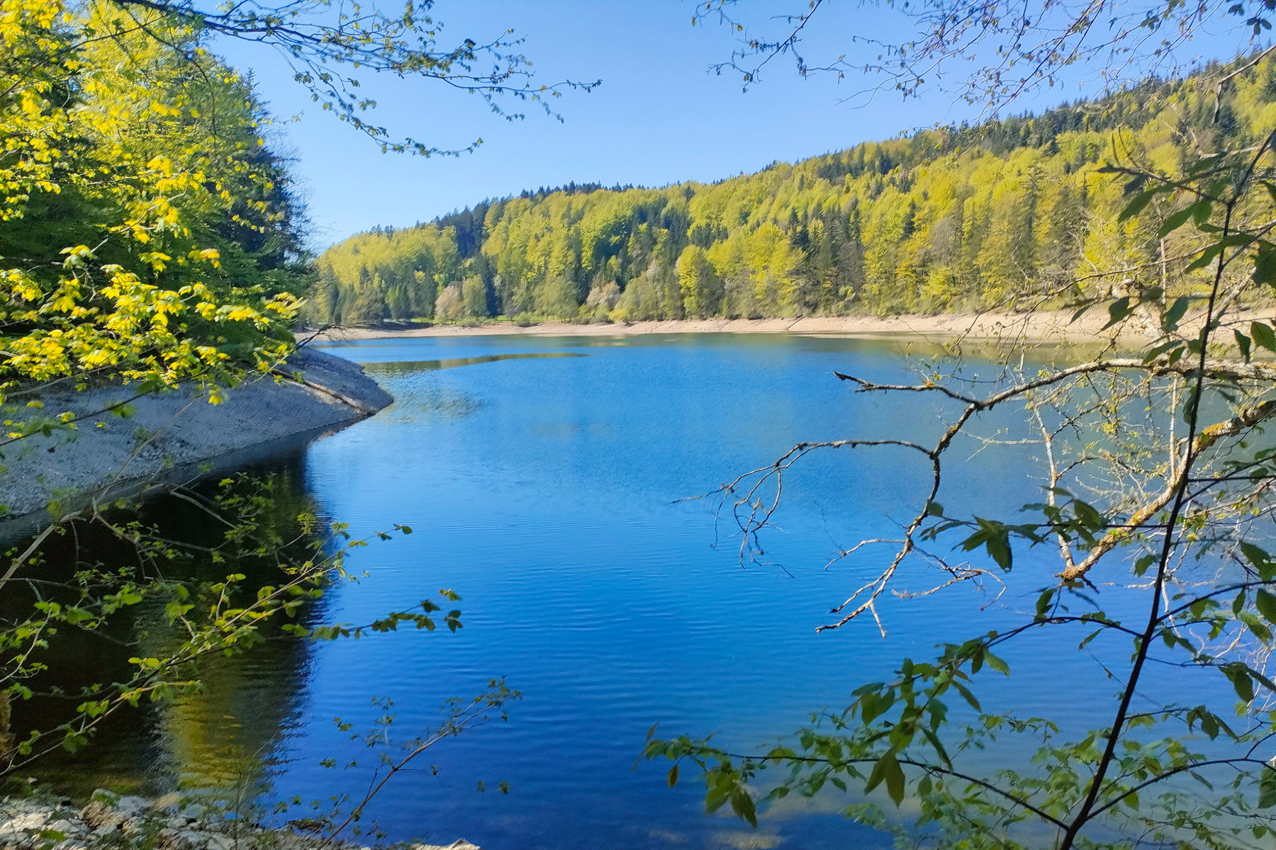 Am Nussensee – der gerade scheinbar wenig Wasser hat. Fotos: Manfred Hinteregger