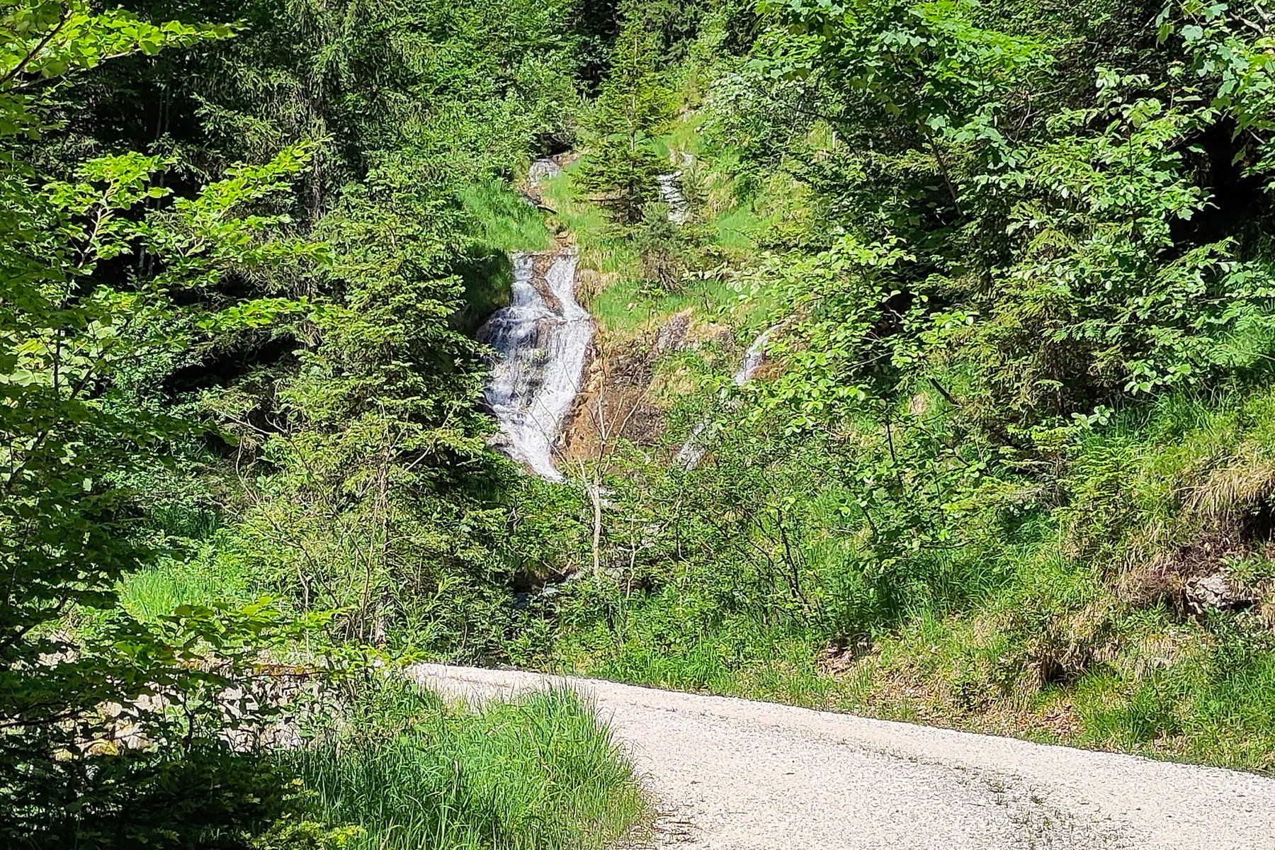 Im Pernauer Graben. Foto: Karl Plohovich