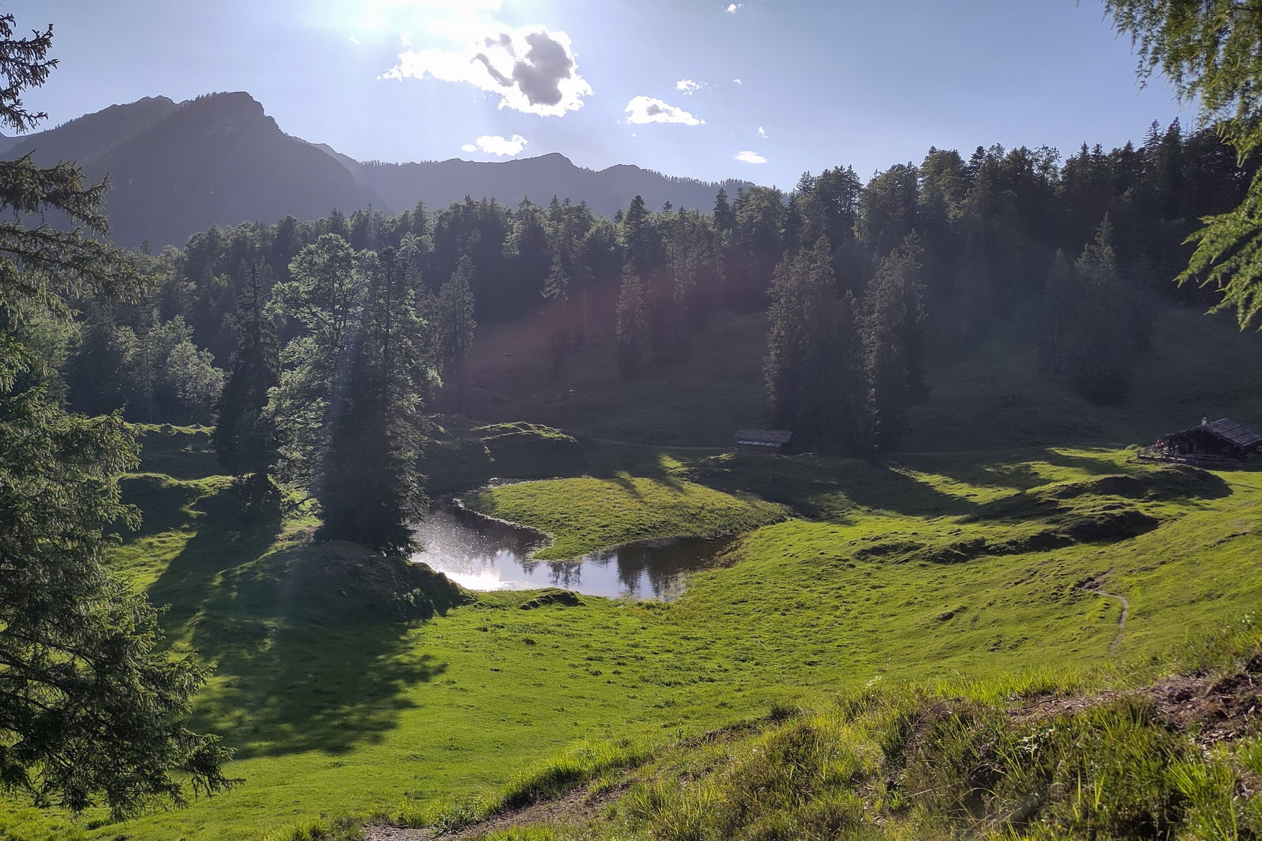 Die Sellarnalm. Foto: Karl Plohovich
