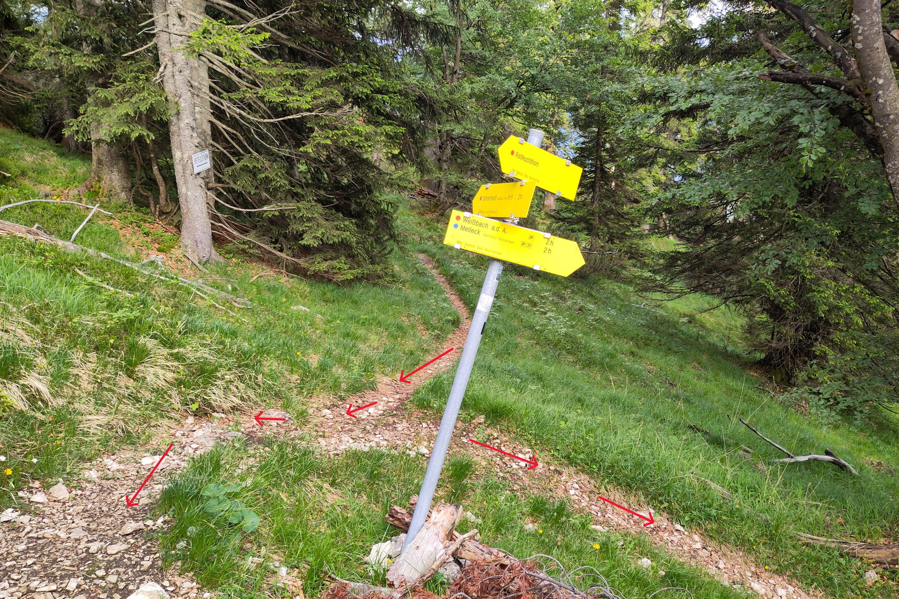 Fast geschafft – die Wegkreuzung. Foto: Karl Plohovich