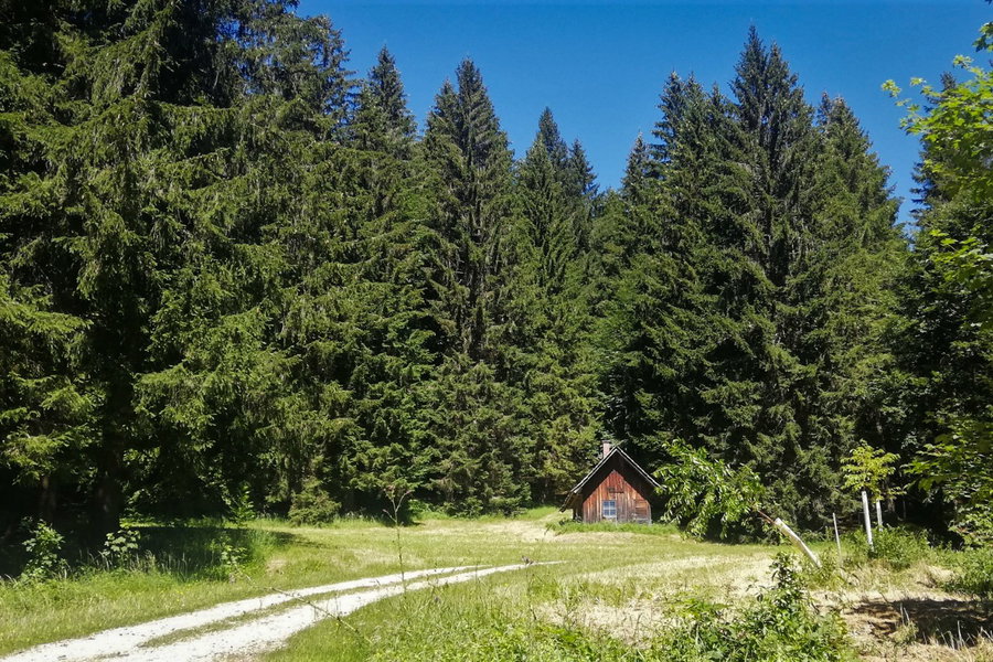 Die Jageralm. Foto: Sarah Stainer