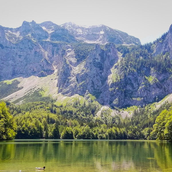 Der hintere Langbathsee. Foto: Sarah Stainer
